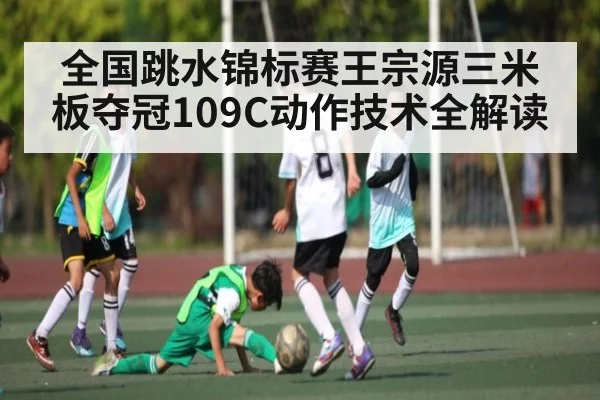 全国跳水锦标赛王宗源三米板夺冠109C动作技术全解读